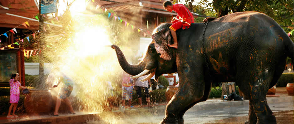 Elephant Songkran
